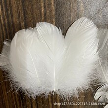 �����h��ë�Zë  DIY��؈����� ����b������������̨����