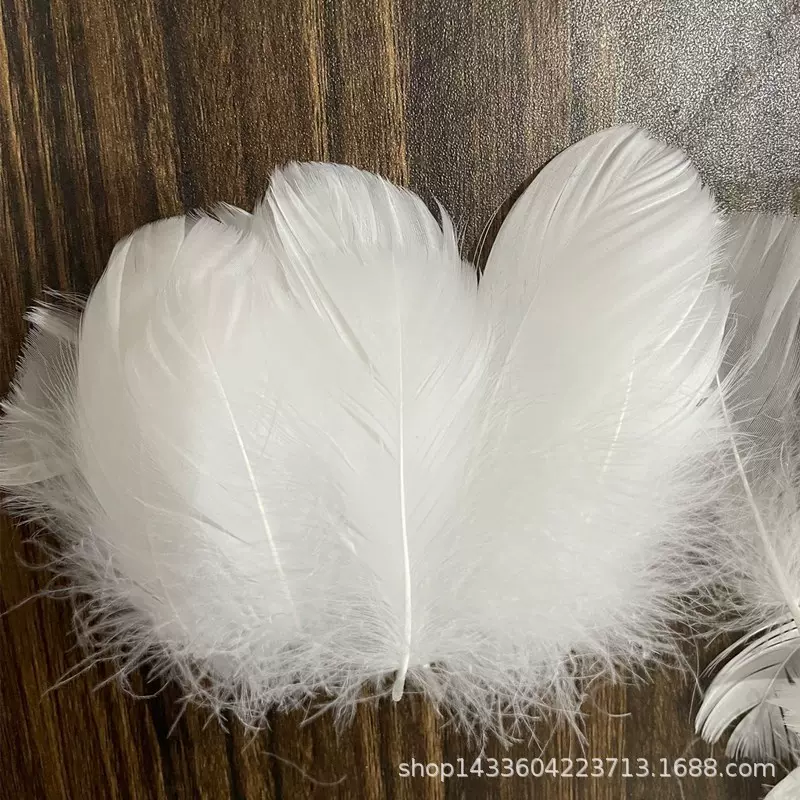 大中飘羽毛鹅毛  DIY逗猫棒配饰 翅膀装饰波波球填充物舞台道具