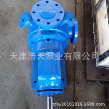 保温转子泵TDNY-B 沥青 粘油 树脂 稠油转子泵 蜂蜜 糖浆转子泵