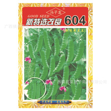 �����x����604ܛ�����m�� �����N�I�S��ֱ��������ش����߲˷N��