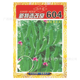 �����x����604ܛ�����m�� �����N�I�S��ֱ��������ش����߲˷N��