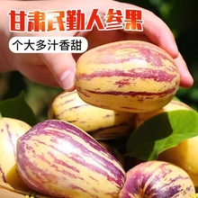 ll甘肃民勤沙漠人参果9斤新鲜酢浆草娃娃树上熟黄肉长寿果顺丰包