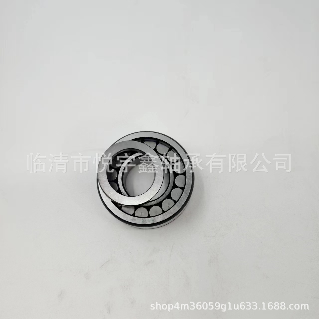 BSL185020 BSL185022 BSL185024 RSL185026 装满圆柱滚子轴承