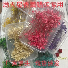 满天星新款幼儿园干花手工DIY制作材料包天然永生花蜡牌大豆蜡材