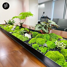 �Ϻ����ջ������ڻ�����΢�����쾰������ֲ��̦�����м�װ��ֲ��