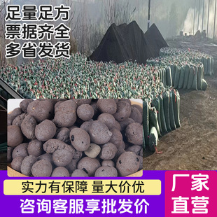 �l���g�����ý��B�������������Ϲ����b���p�|�����픸�������