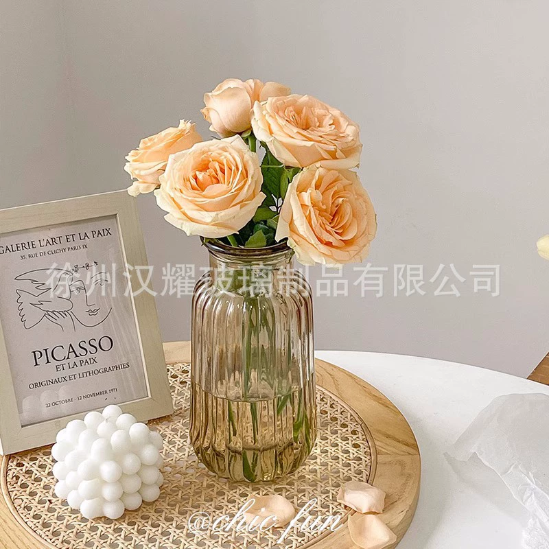 Прозрачная стеклянная ваза с вертикальными полосками, украшения для гостиной, широкая горловина, декоративный цветочный горшок, гидропонный цветок, настольный, простой и современный