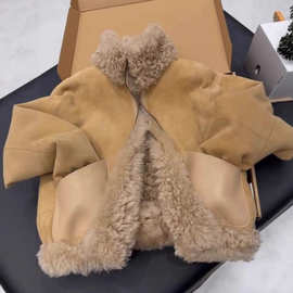 2025新款爆款皮毛一体卡其色立领羊羔绒小香风短款毛毛外套女冬季
