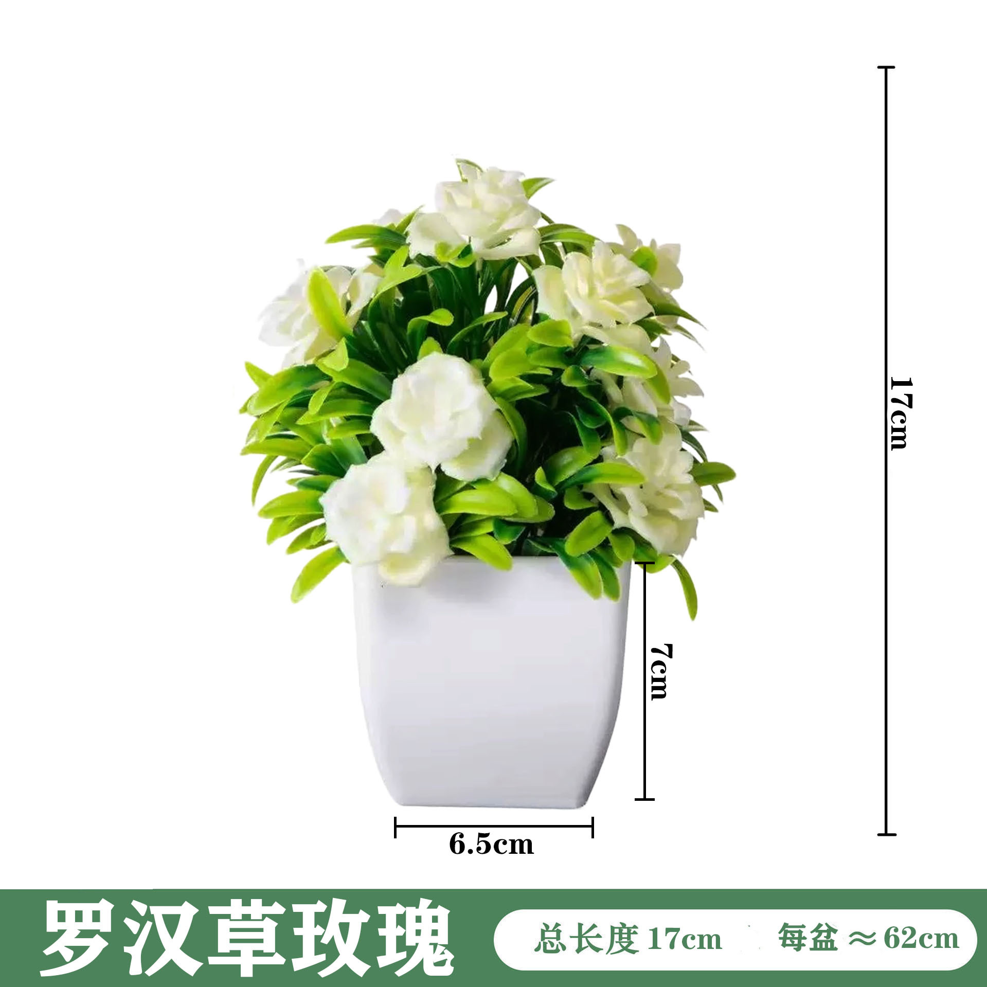 미니 화이트 화분 [나한초 장미]