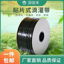 16NƬιrõˮĤµι܎߲˹ݮ΢ι