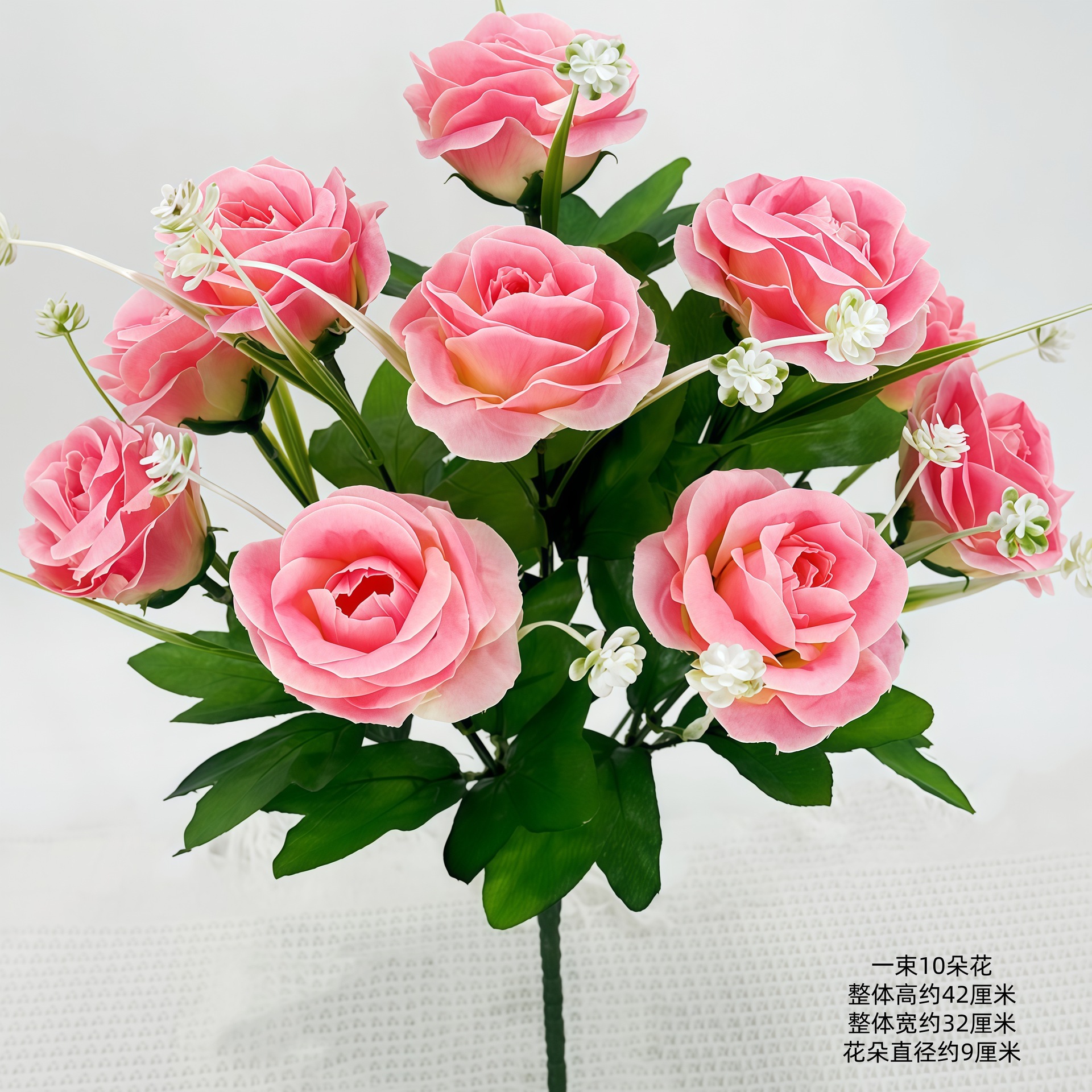 10 cabezas de champán arcoíris Mei