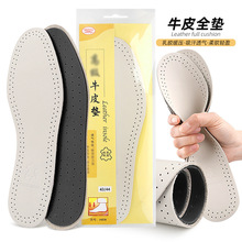 ������ţƤЬ�| ͸�����̿Ь�| ��Ů����͸��Ь�| ţƤ���z���d