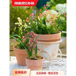 ���ٵĻ��@���������m���Ԏ������̨�m��������������ֲ��