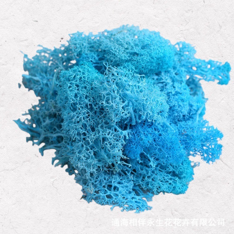 Dark Tiffany Blue·Eternal Moss