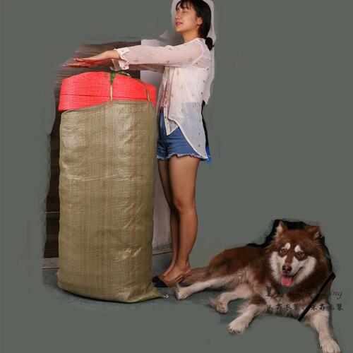 Thickened watermelon net cover, universal fruit net cover bag, honeydew melon foam protective shock-absorbing pearl cotton net bag manufacturer