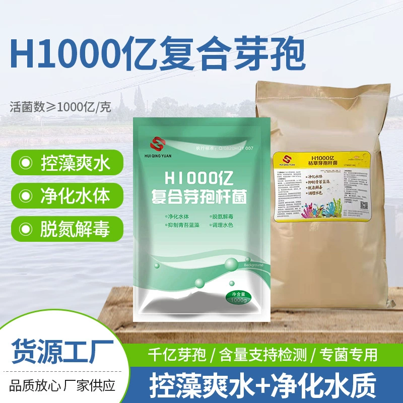 100 миллиардов составных Bacillus оптом Bacillus subtilis короткие производители Bacillus на складе Скидка на большое количество