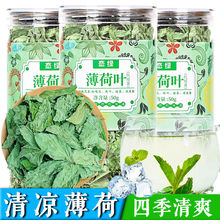 罐装恋绿干薄荷叶茶新鲜薄荷茶天然食用清凉茶清新口气夏季花茶厂