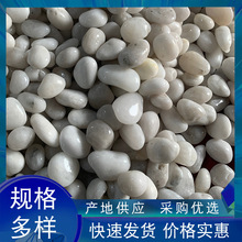 �S�ҹ������l��ɫ�Z��ʯͥԺ���@�b���ð�ɫ�Z��ʯ