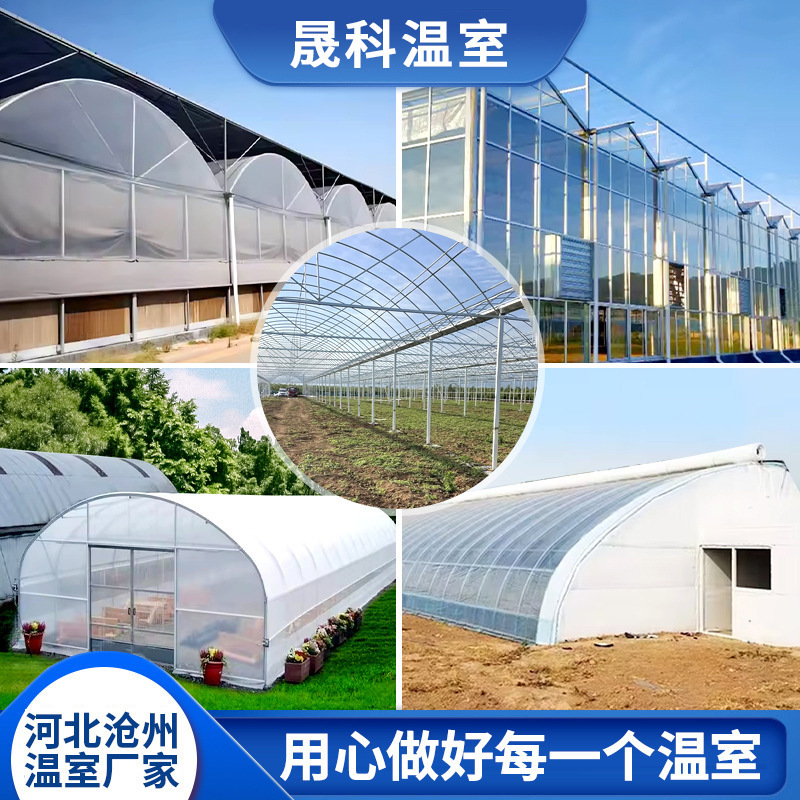 Customized Greenhouses, Vegetable and Fruit Planting Sheds, Greenhouse Skeleton Breeding, Multi-Span Greenhouses, Modern Smart Greenhouses