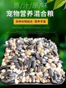 Oil Sunflower Large Capsules Pockmarked Safflower Seed Parrot Peony Black Phoenix Millet Pigeon Hamster Mixed Bird Food Bird Feed