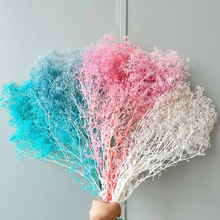 ���f�Ǹɻ� ϼ��С�M���Ǹɻ�50��/����޹Ϟdiy������ϻ������l