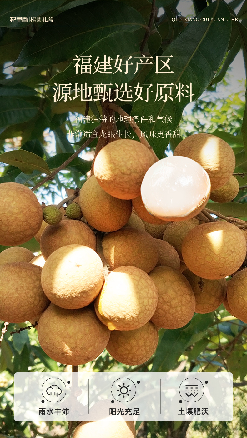Dried Longan Fruit 900g Gift Box Ready to Eat Gui Yuan Rou for Tea and Soup key features