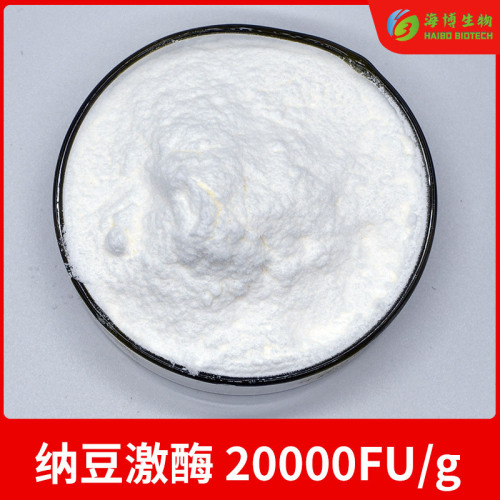 Natto kinase 20,000 FU/g Natto extract Natto fermented substance Natto bacteria 100g/bag