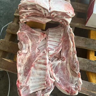 �����m��������������ſ����ş������Ų��ʳ���������l