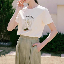 2025ļ¿AIˇgTfĸװɫT85S511