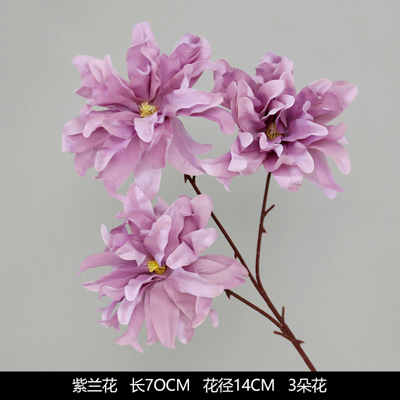 orquídea roxa