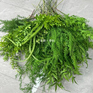 ����ɭϵ�Gֲ�~�Ĳ͏d����ٗl��Ȼ�Lܛ�b�҃��b�c��픾Gֲ