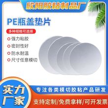 �X���|Ƭ 늴ŸБ�PET�X��ƿ�w�ܷ�| ʳƷ����ճ���pe����|Ƭ