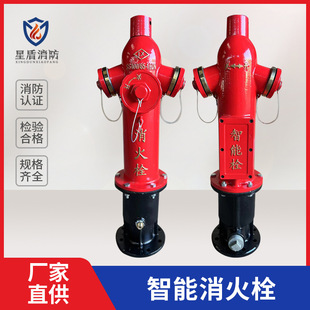 Intelligent outdoor fire hydrant SS100/65-1.6ZN Intelligent Ground fire hydrant SS150/80-1.6ZN