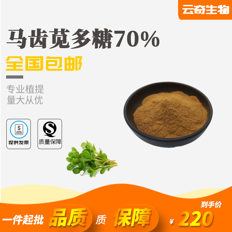 马齿苋多糖 马齿苋提取物 水溶马齿苋粉 云奇厂家现货量大从优