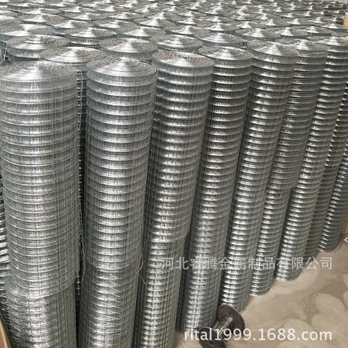 厂家直销铁丝电焊网卷 镀锌浸塑电焊网卷 养鸡养殖用围栏网