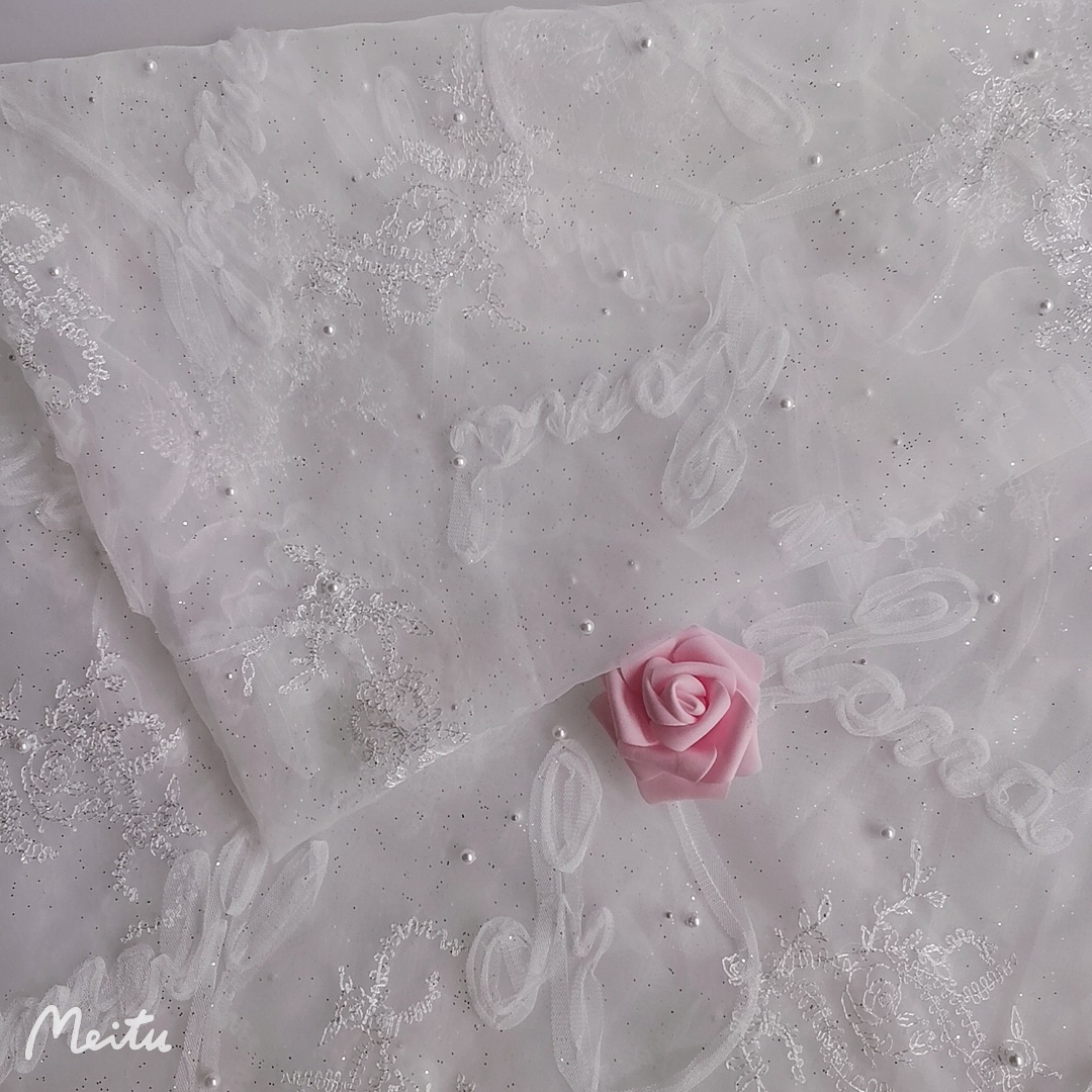 现货供应~新款欧根纱同色刺绣网纱字母钩花撒银粉钉珠 裙装等面料