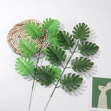 �羳���~ֲ����������~��˹�~�߲�پGֲ���⹤�̈@ˇ���÷��滨