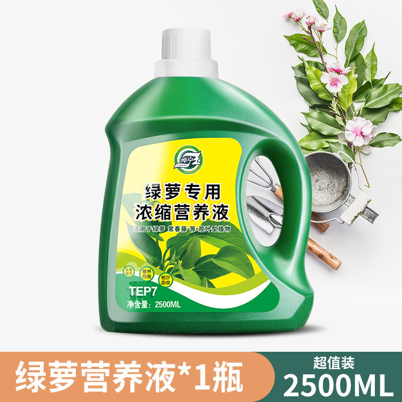 [포토스 전용 영양액] 2500ml*1병