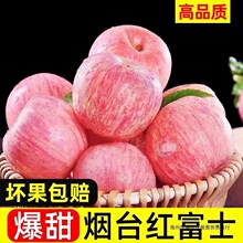 ���]10����ƽƼ����t��ʿ�O��ˮ�����r��ϼ�ĳ󮔼���̨����ɽ�|