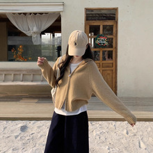 ᘿ��p����_��2025�¿��nϵ�����Bñë�������＾�ٴ����r��