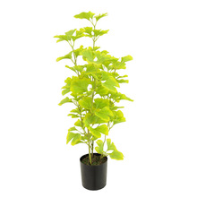 ��Ʒ�|�y���~���҃ȼ�ͥ�b���zӰ��c�_�I��Y�͏d��d