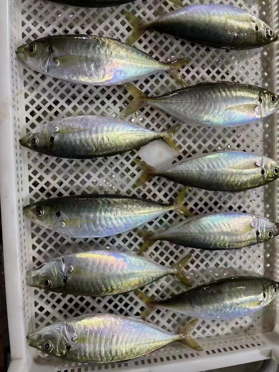 61027b7b4c5930b55abd41873a6ce0