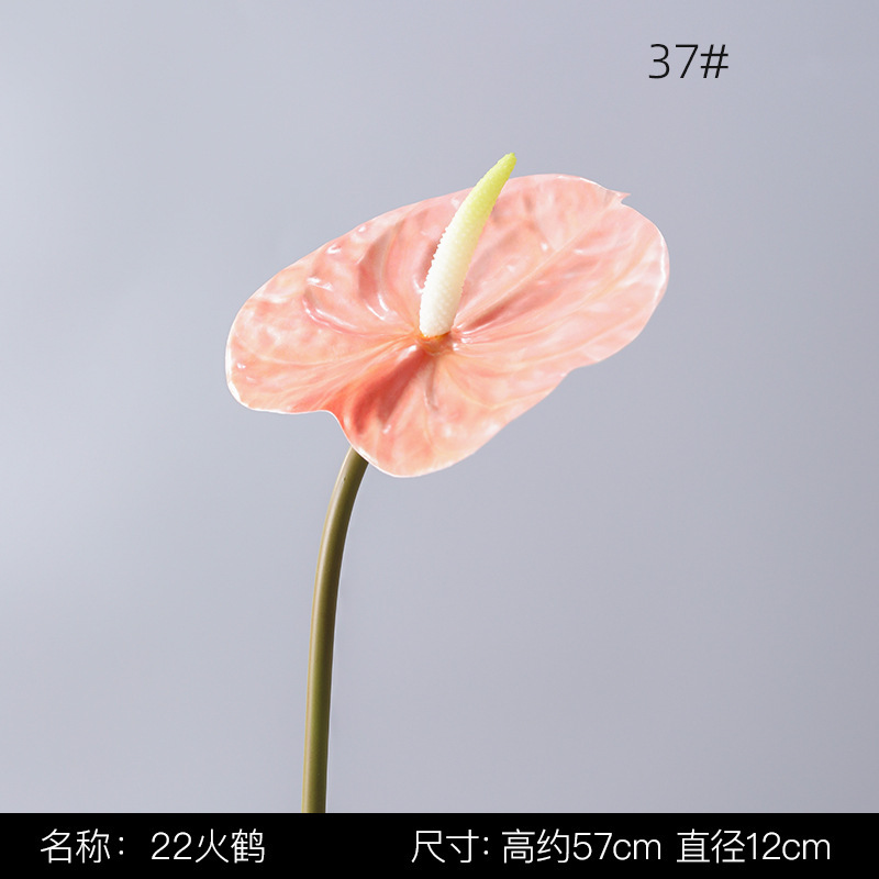 37
