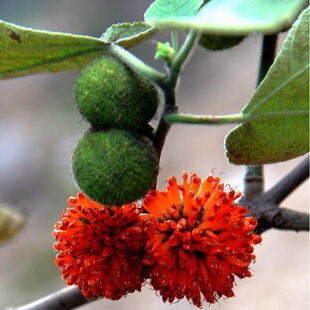 �����絗�����е���ľ����С��G�����֘�����B�����~�h����