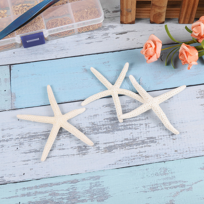 Shell natural five-finger starfish 7-10cm jewelry ornaments accessories handmade DIY aquarium fish tank landscape Shell natural five-finger starfish 7-10cm jewelry ornaments accessories handmade DIY aquarium fish tank landscape