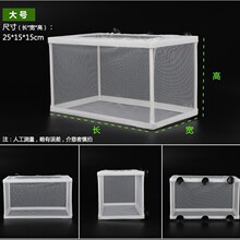 热带鱼孵化器箱孵鱼繁殖盒网鱼网繁殖小鱼槽箱产盒隔离大号水族箱