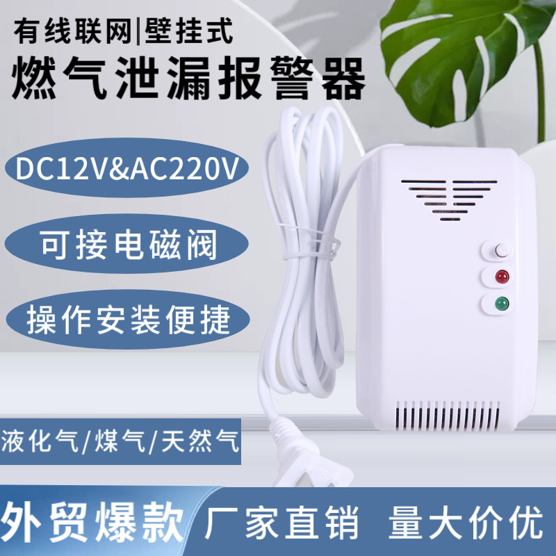 Household Combustible Gas Detector 12V/220V Kitchen Natural Gas Gas Leak Alarm Cross-Border Export