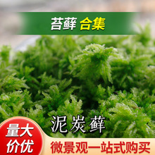 ���ճ����̿�\��ˮ̦̦�\΢���^ϡ��̦�\��΢���^��̦ͥԺ�쾰