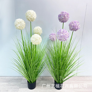 ���Sֱ���҃Ⱦ��^���ֲ������JȔ�������Ѳݎ����ɲ廨�JȔ��