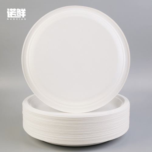 Disposable paper plate kindergarten handmade DIY painting cake barbecue dinner plate paper plate large paper plate 12 inches